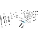 Zapfwellenkupplungsdruckventil / LS Traktor / Nr. 40341839