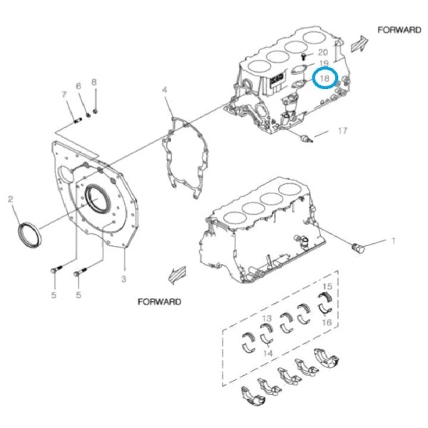 Dichtung Q1100043 / EGQ110 / LS Traktor / 40006904
