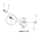 Capteur de température d'eau MM43513301 / Tracteur LS / 40156692