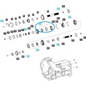 Bague de synchronisation de vitesse, double A5002125 / TRG281 / 40007796