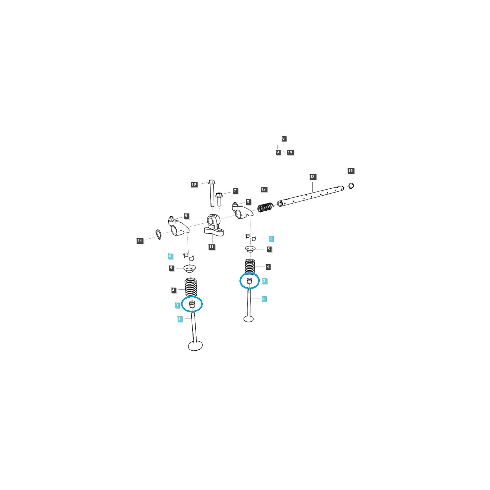 Tesnenie hlavy ventilov Q1210015 / LS Tractor / 40007384