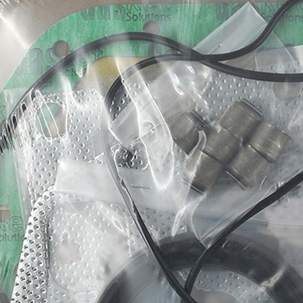 Iseki E3AE1 Motordichtungen