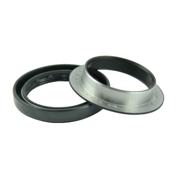 Sellador de casete AQ2869F 50x72x10/17