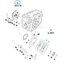 Brake Discs / TRG650 / Right / A1650071 / LS Tractor / No. 40007719