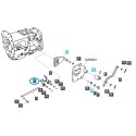 Vidlice pro řazení převodových stupňů/rozsahů (2-4) / TRG291 / LS Tractor 40009191