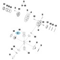 Zębatka mechanizmu różnicowego / strona lewa / TRG310 /40182442 | Traktor.com.pl