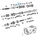 Ozubené kolo M/DRV 3RD / TRG281 / LS Traktor / 40384169