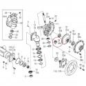Zębatka, 10T, 22T, 1614-434-008-50, 1614-434-008-10, Iseki SF300, Iseki  SF310, Iseki  TH4290, Iseki  TH4330