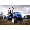 LS Traktor MT1.25 TURF | Bewertungen | Video | Daten | Preis