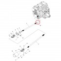 Antriebswellenverbinder 14T / 28 x 56 mm / LS XJ25 / LS MT3.35 / LS MT3.40 / A1380021 / 40013044