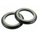 Seal Rotary Group L4508