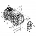 Soporte de rodillos / 4 x 4 / Yanmar EF352T / 5-14-204-31