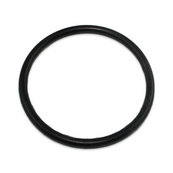 Sicherungsring L2202