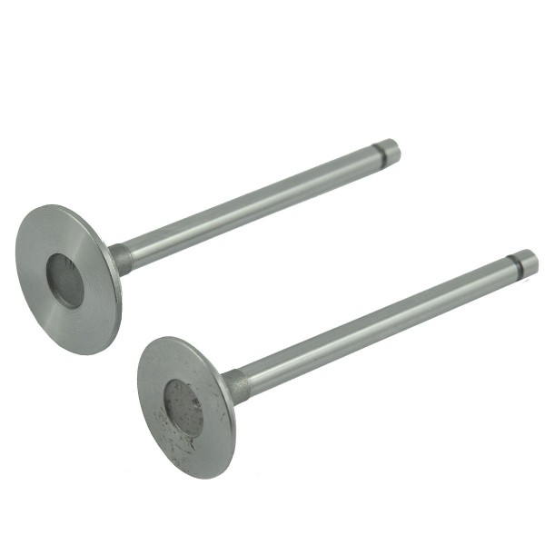 Engine Valves / IN / EX / Toyosha S111 / P126 / Hinomoto E16 / E18 / E23 / E25