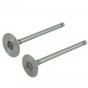 Zawory silnika / IN / EX / Toyosha S111 / P126 / Hinomoto E16 / E18 / E23 / E25 | Traktor.com.pl