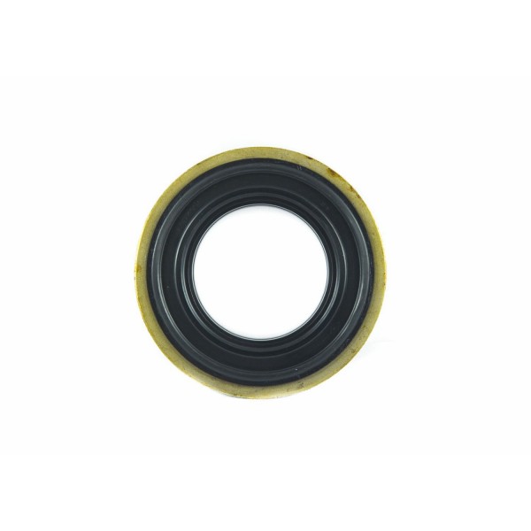 Hinterachsdichtung ISEKI TS2510 AQ3250E, 60-100-15 / 26