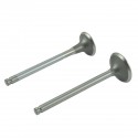 Motoneiges Zawory / EX / IN / Iseki TX1300 / TX1500 / Mitsubishi KE70 / KE75