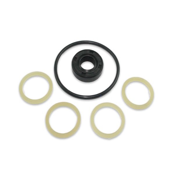 KUBOTA L02 Hydraulic Pump Seal Kit Old Models
