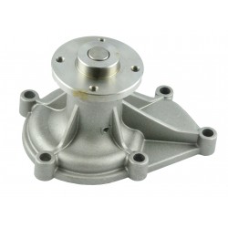 Holzige Pumpe - Iseki E3AG1 / E3AD1 / E3AF1 / E3AE1 / 3AG1