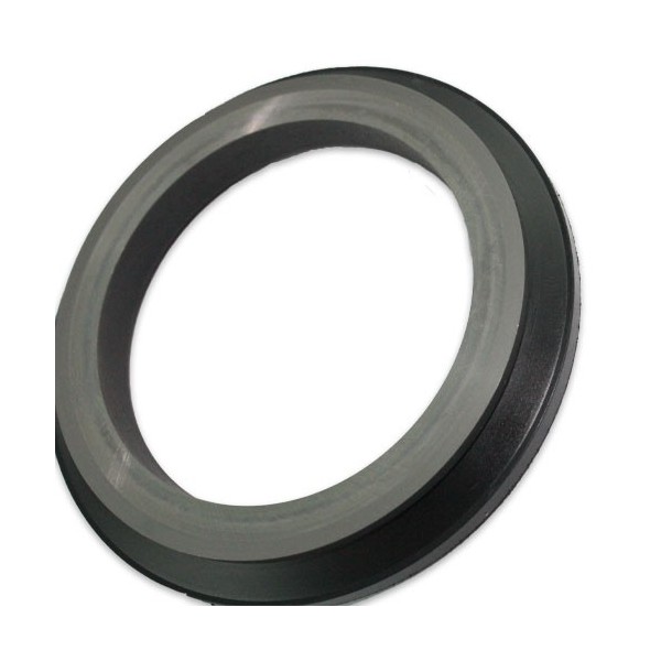 Seal Rotary Group L4508