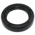 Sello, eje de freno EF453T-493T AE1666F (29*42*8 mm)