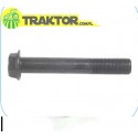 Schraube , Zylinderkopf L3408, lang 100 x Fett 10,25 mm.