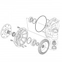 Pignon d'entraînement, 10T, 20T, 3C051-97040, 5-19-131-25, Kubota M6040, Kubota M7040, Kubota M8540, 12J1906, 3C051-97042