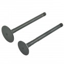 Engine Valves / Yanmar 3TNV88 / Yanmar EF352T / EF453T