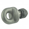 Ringschraube, Schäkel mit Yanmar EF453T-Schraube