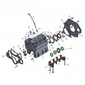 Uszczelniacz obrotowy wału korbowego lewy / VST MT180 / MT224 / MT270 | Traktor.com.pl