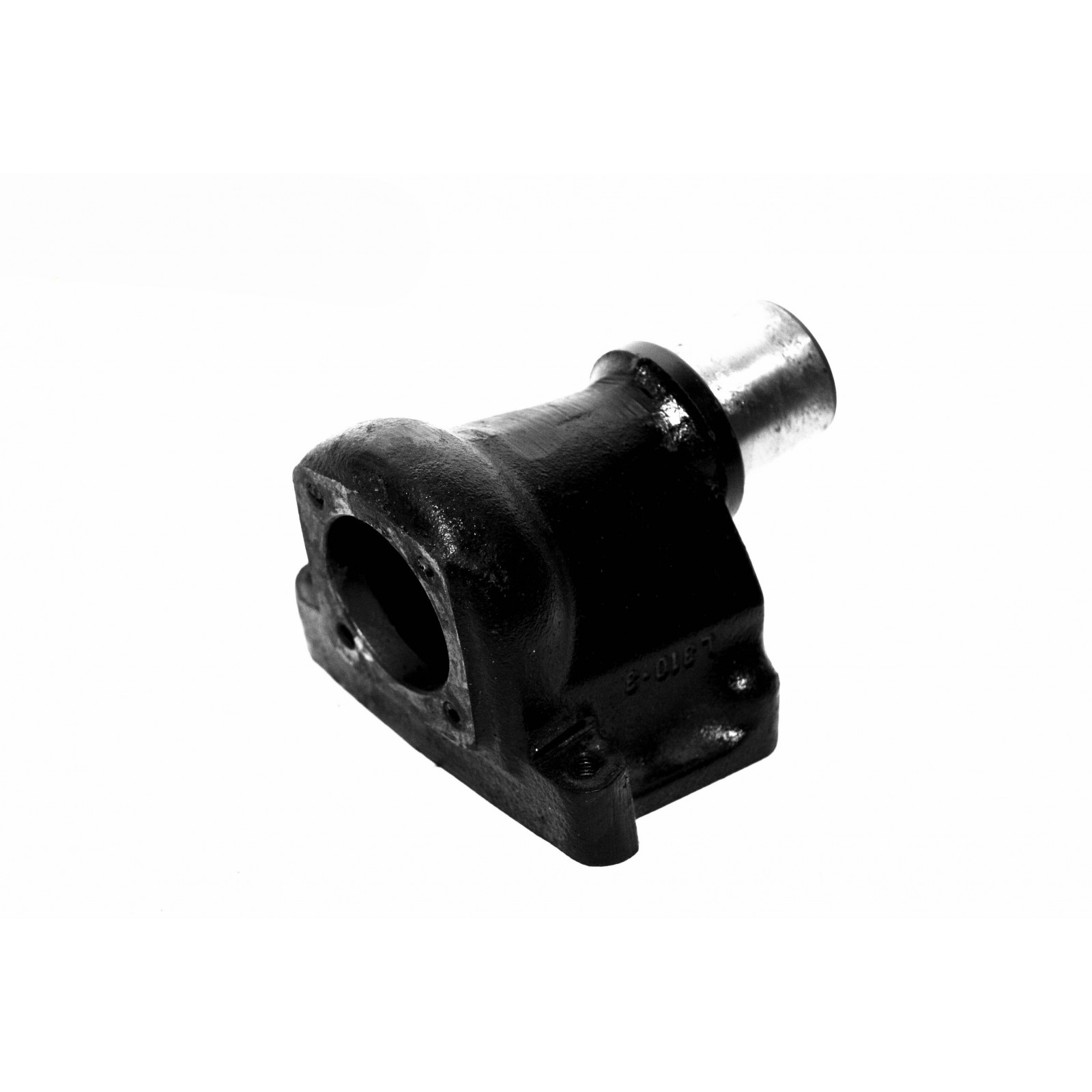 CASO pin al rey