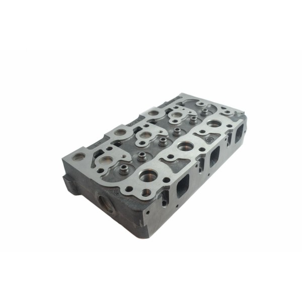 Hlava valcov motora D1102