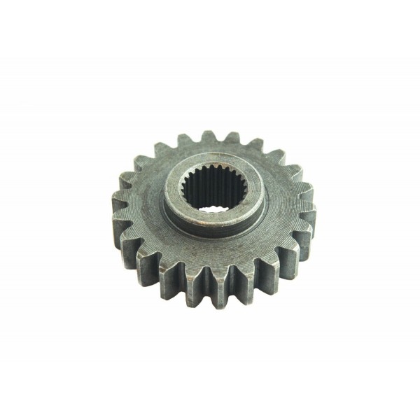 Pignon A24 22T 24T