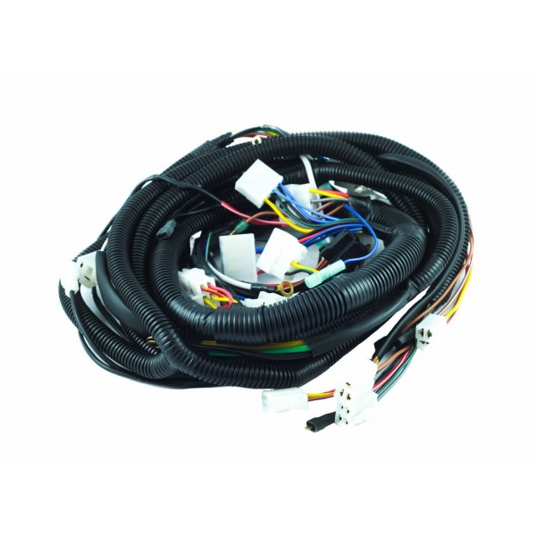 Assy 18HP Wiring Harness