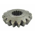 Piñón - pequeño