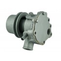 Shibaura Water Pump