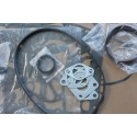D1703 Gasket Set