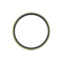 Oil seal 110x125x5.5