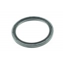 Mastic 60x75x6 AG3191E