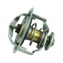 Cooling system thermostat 76.5*C diameter 54 mm