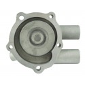 Yanmar YM1700 Wasserpumpe