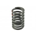 Ressort de soupape / Mitsubishi V3D / V4C / Mitsubishi VST MT270 / MT224 / MT180