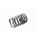 Cost of delivery: Mitsubishi VST MT180/224/270 valve spring