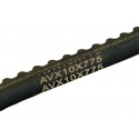Pasek klinowy / AVX 10x775 | Traktor.com.pl