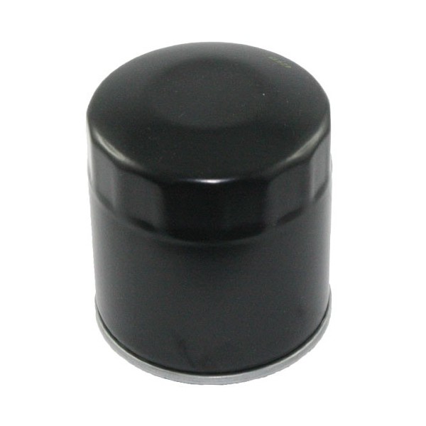 Engine Oil Filter 3/4"-16UNF, 76x88 mm Briggs-Stratton 491056