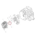 Junta tórica / LS XJ25 / LS MT3.50 / LS MT3.60 / S802075010 / n.° 40029228