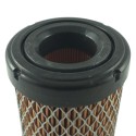 Filtr powietrza Cub Cadet LT1 NS96 / LT1 NR92 / LT2 NR92 / Cub Cadet OHV 382 / 439 cm3 / SA 12703 | Traktor.com.pl