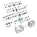 Zębatka biegów DRVN TRG285 / LS Tractor / 40009231 | Traktor.com.pl