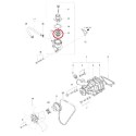 Termostato 82°C / Tractor LS / 31B4602200 / 40421107 / 40007663