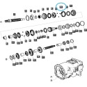 Tuleja przesuwna synchronizatora skrzyni biegów TRG281 / Ls Tractor / 40326009 | Traktor.com.pl